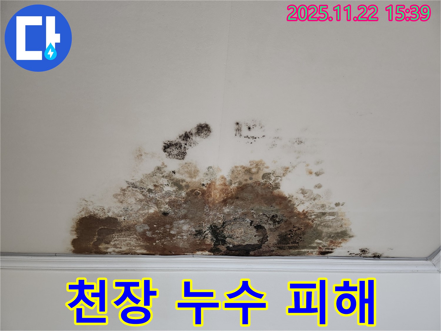 마포구 용강동 - 천장 누수 피해 현장