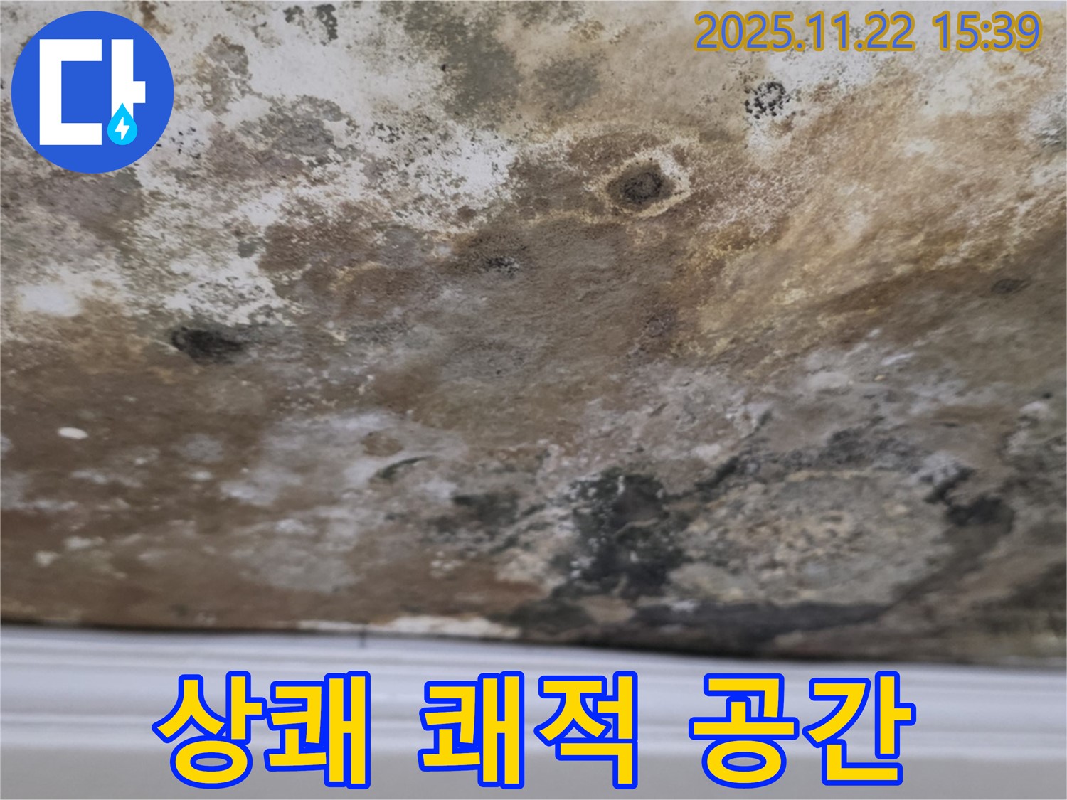새창로8길 현대홈타운 - 곰팡이 OUT, 상쾌하고 쾌적한 공간 IN!