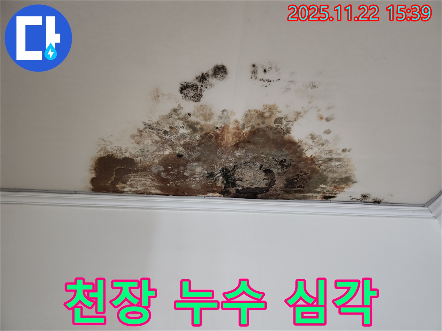 심각한 천장 누수 - 빠른 조치가 필요합니다