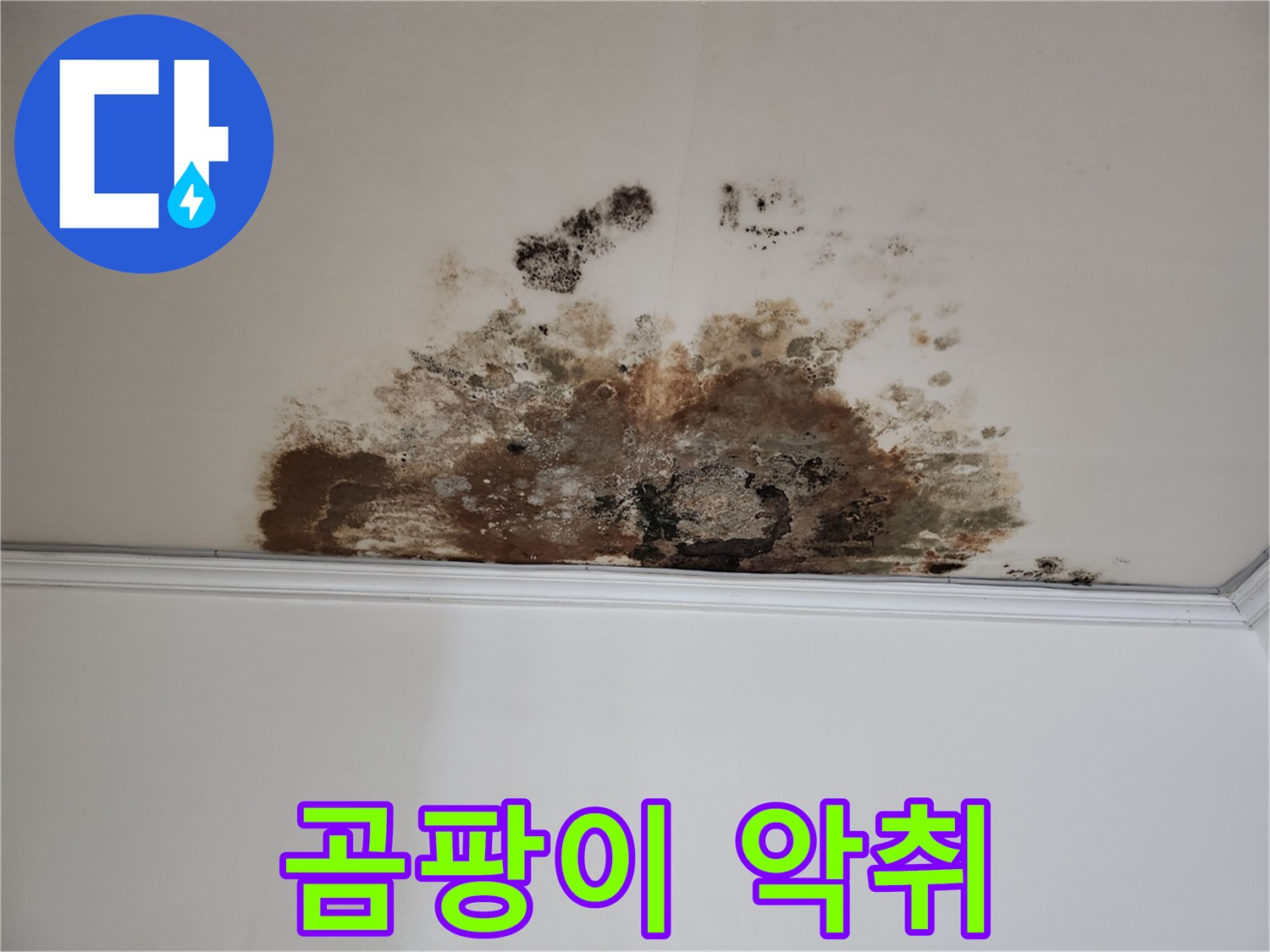 용강동 누수 - 곰팡이 악취 제거