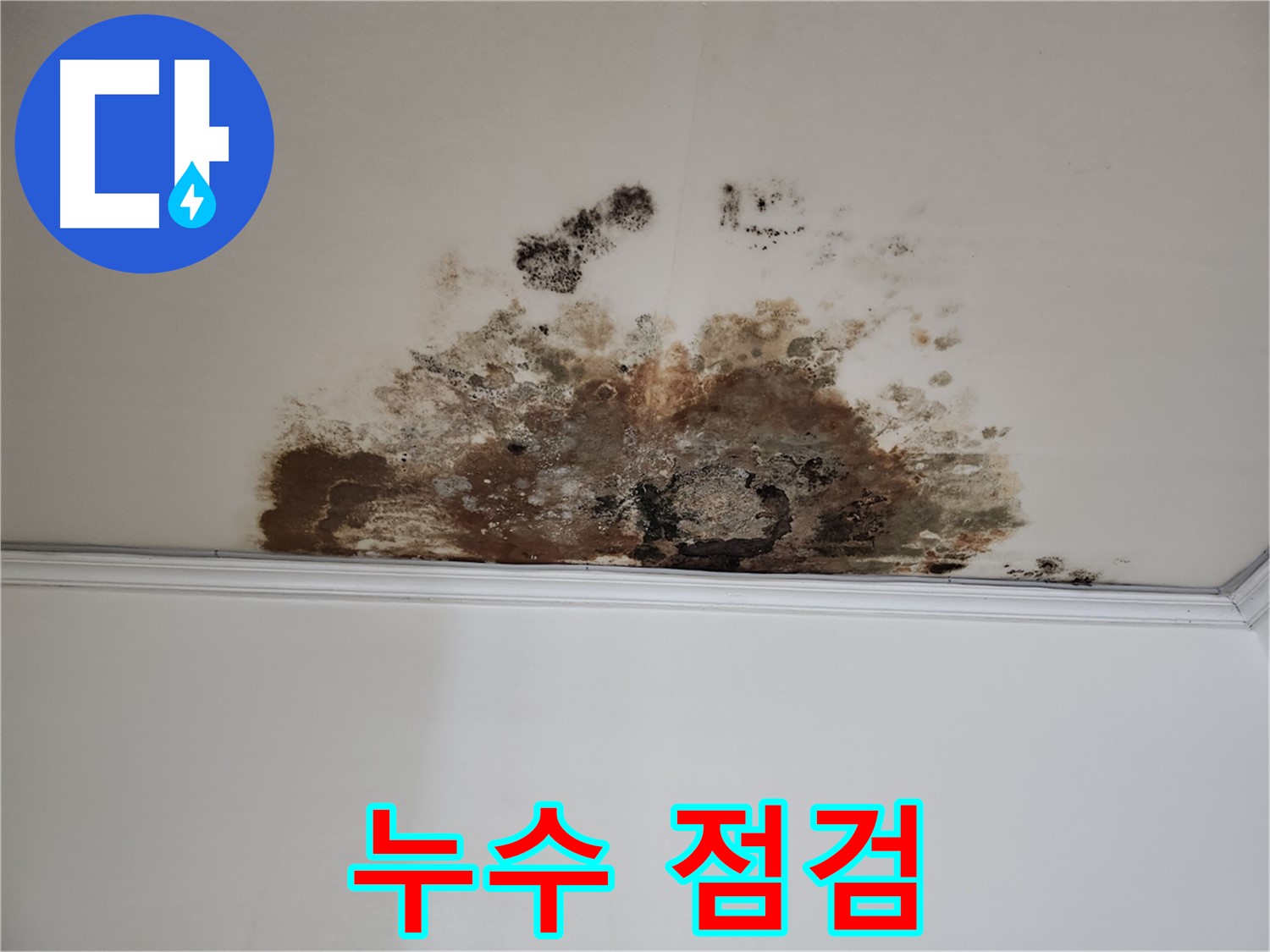 용강동 누수 - 꼼꼼한 누수 점검 과정