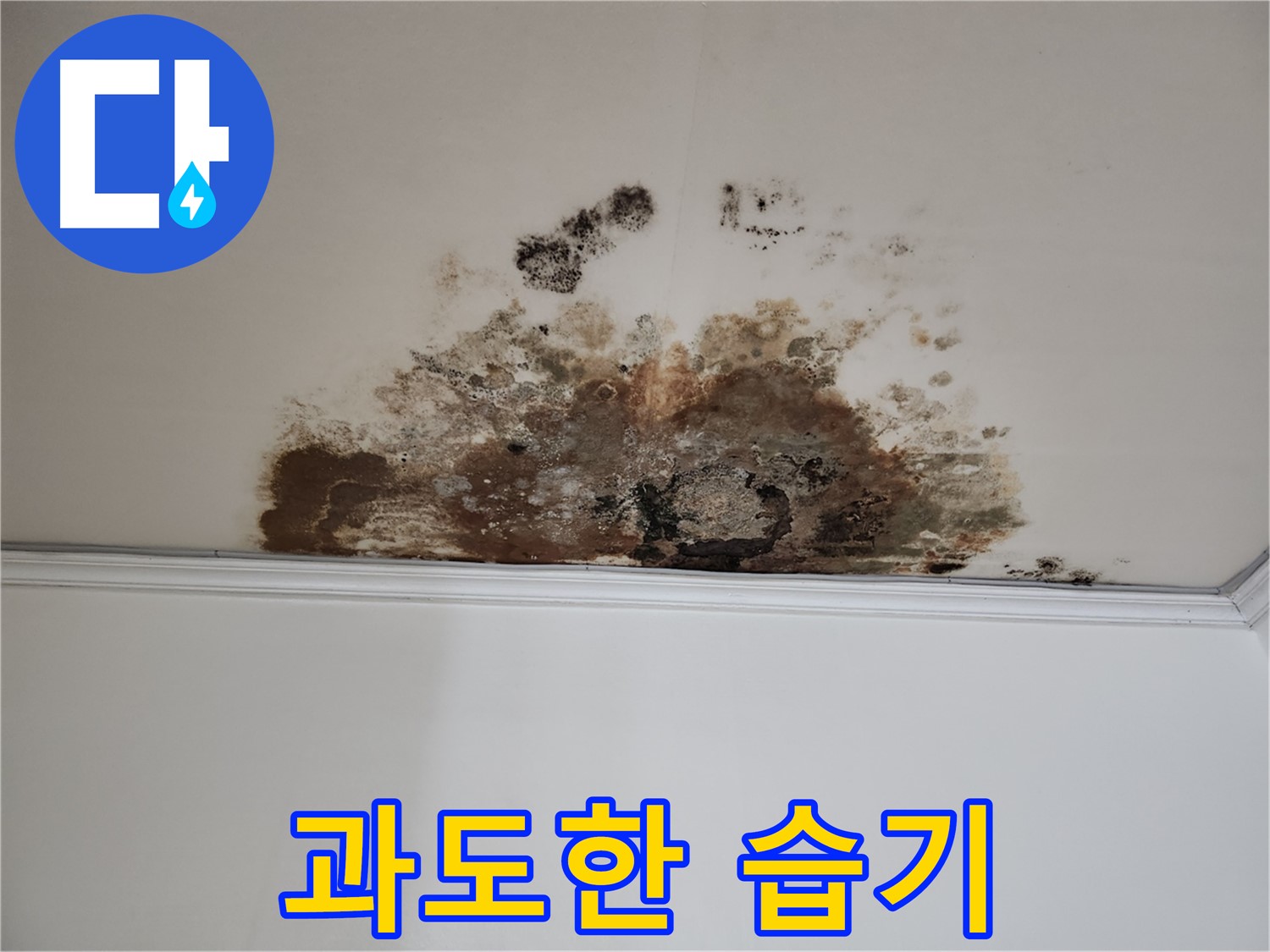 용강동 누수 - 습기 제거 해결