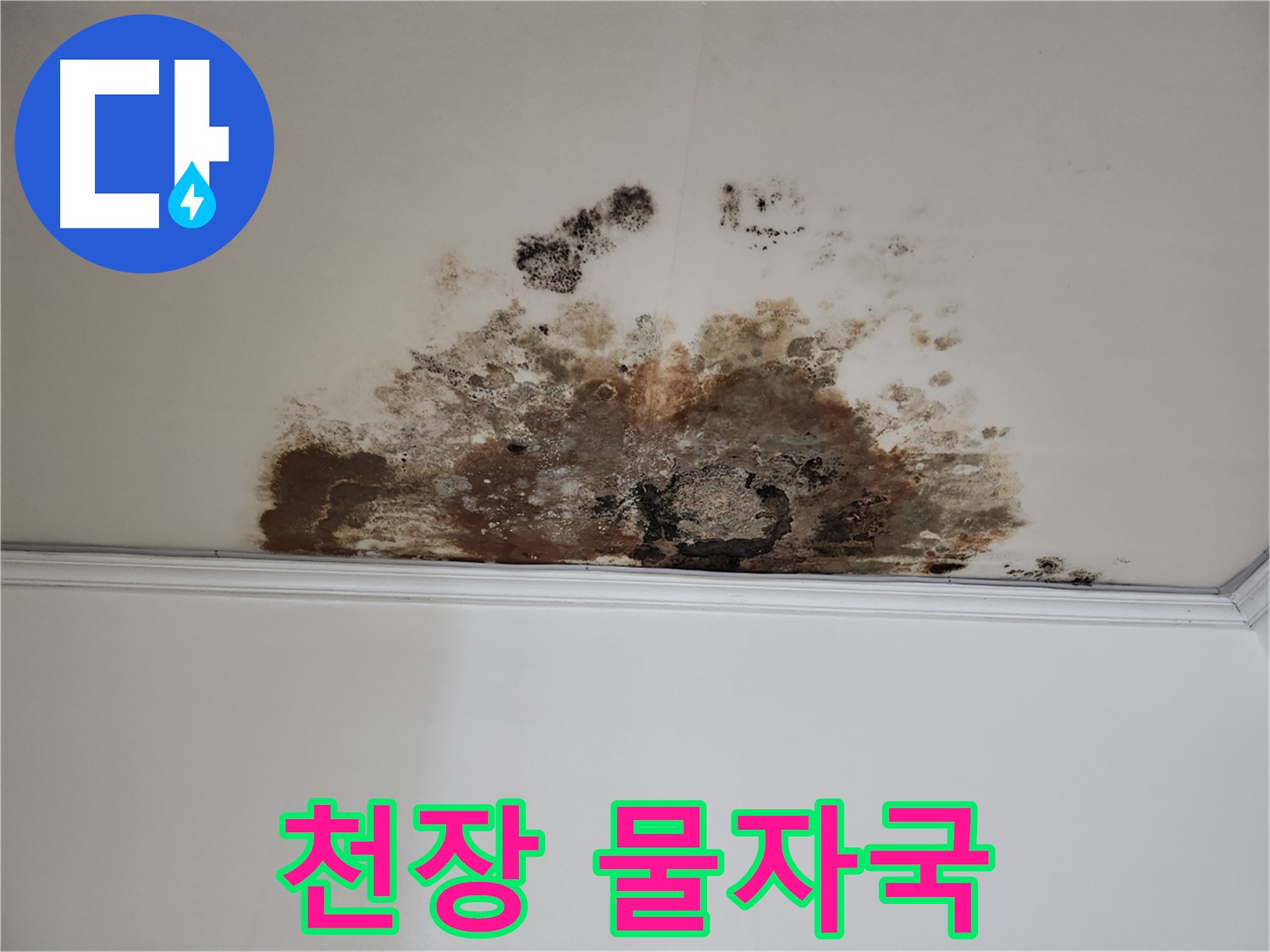 용강동 누수 - 아랫집 천장의 심각한 물자국