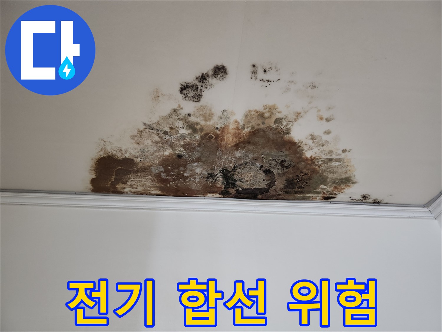 용강동 누수 - 전기 합선 위험