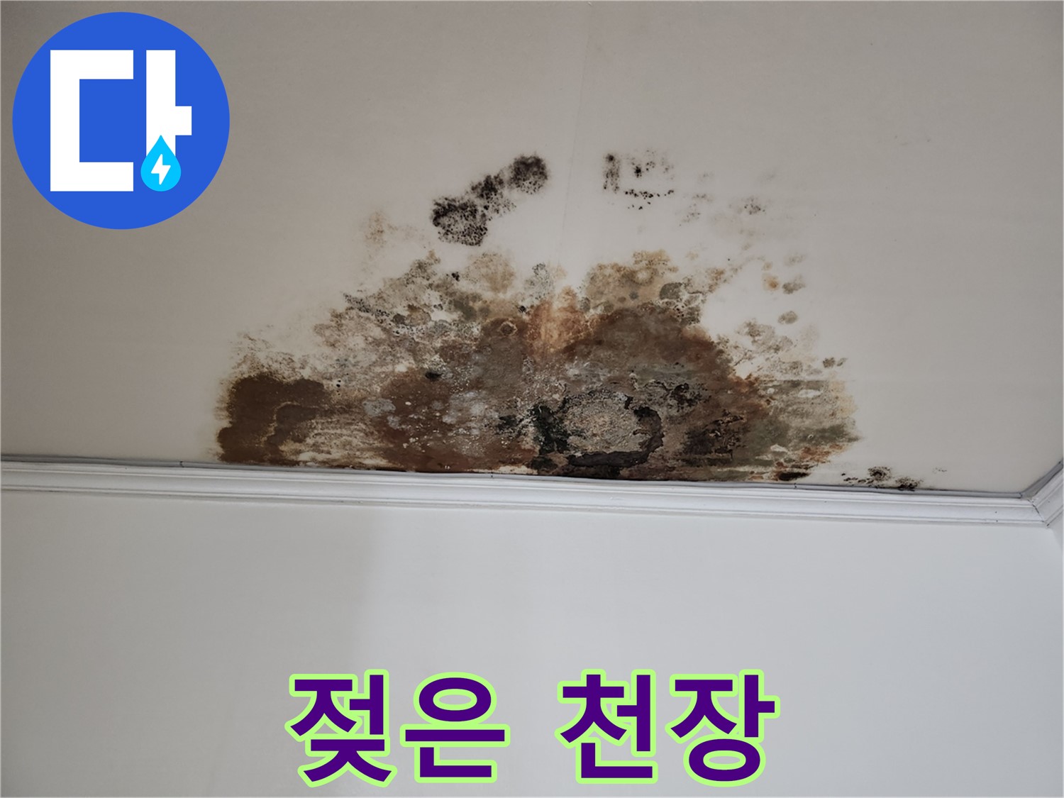 용강동 누수 - 젖어있는 천장