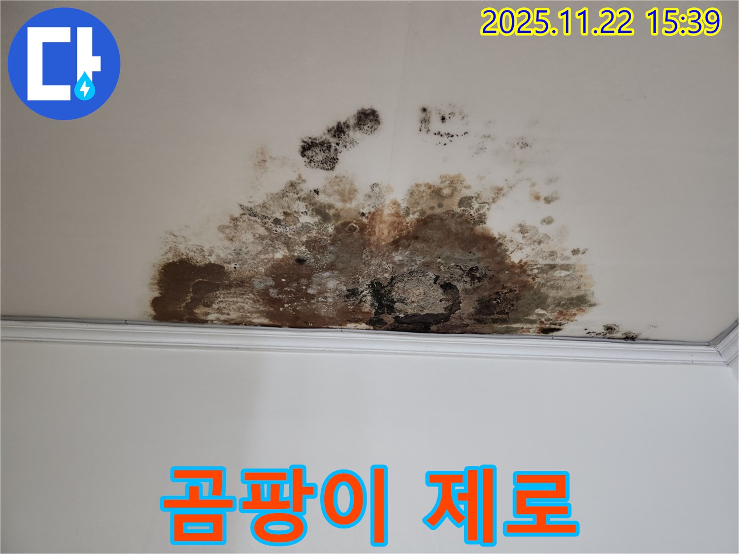 용강동 아파트 누수 - 곰팡이 제로, 쾌적한 보금자리