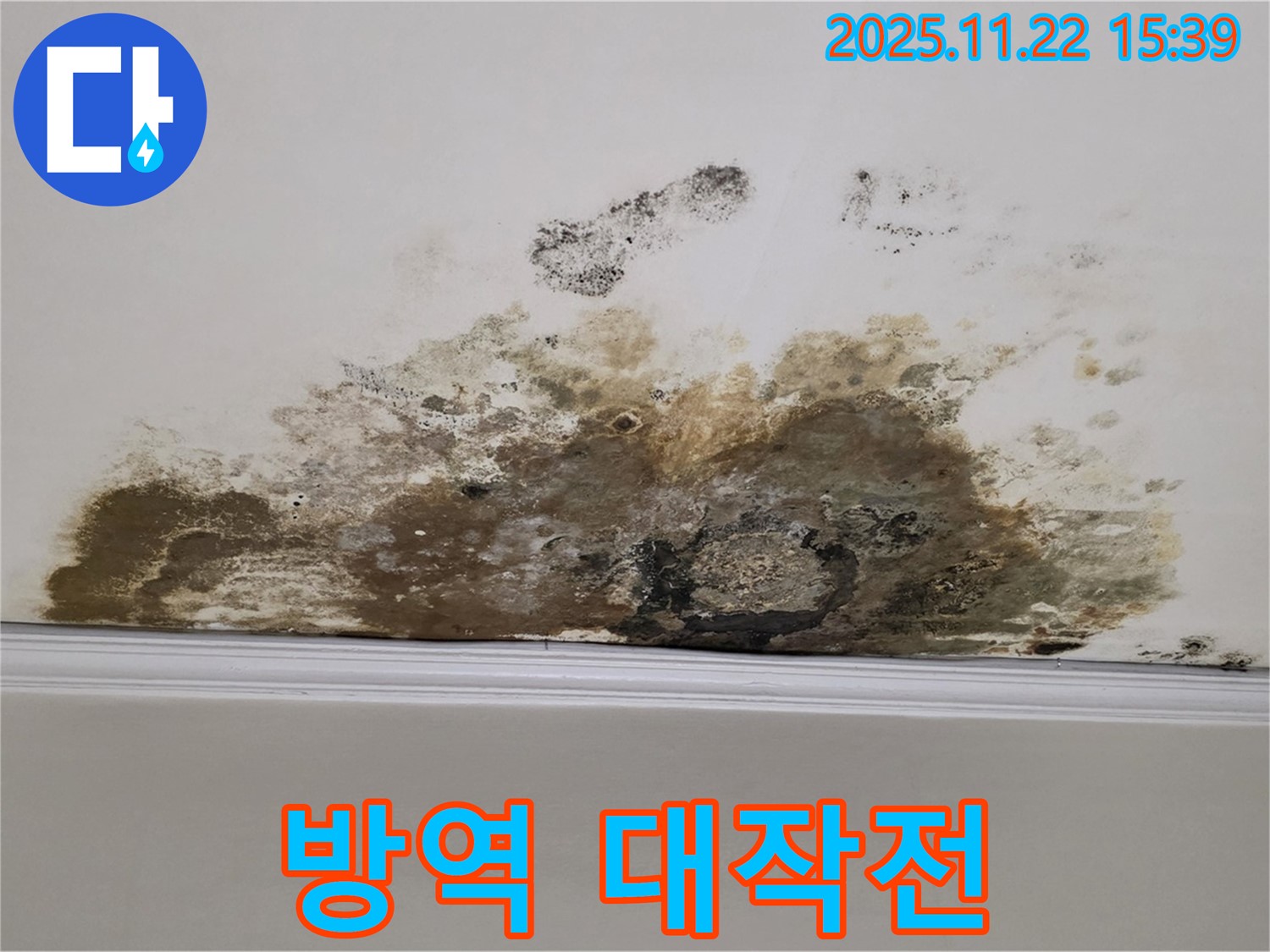 용강동 아파트 누수 - 곰팡이 판데믹, 긴급 방역 대작전!