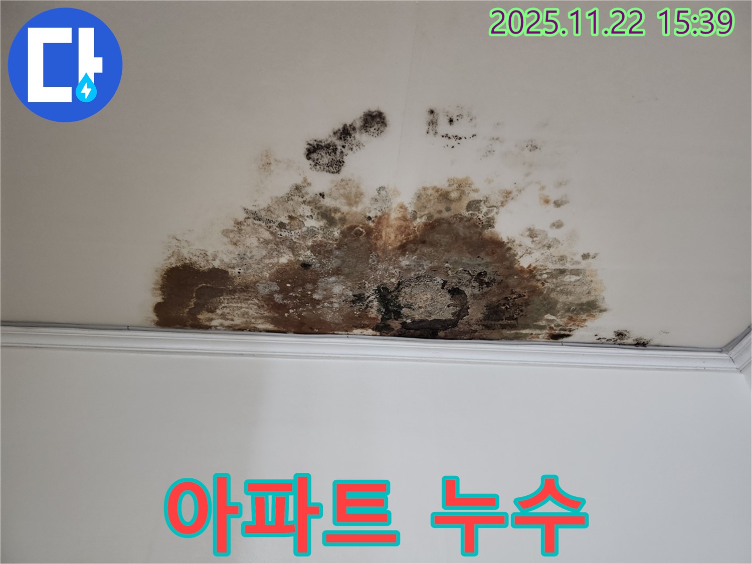 용강동 아파트 누수 - 완벽한 해결 약속