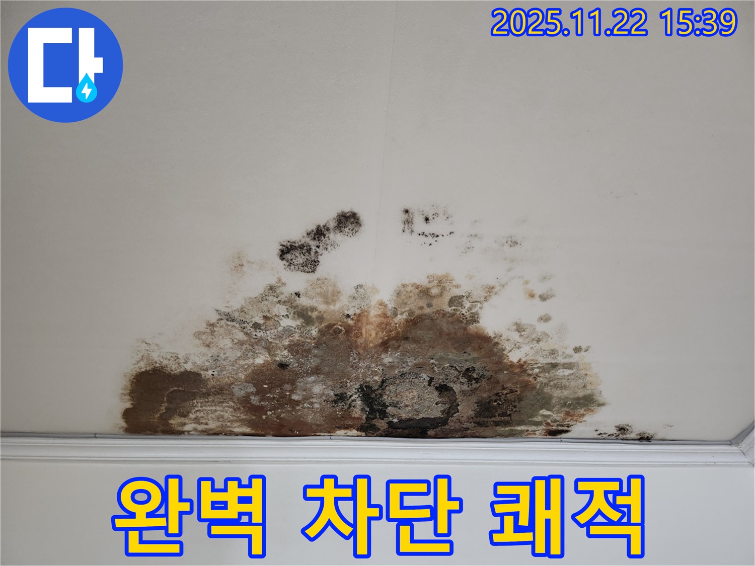 용강동 아파트 천장 - 곰팡이 누수, 완벽 차단! 쾌적한 공간으로