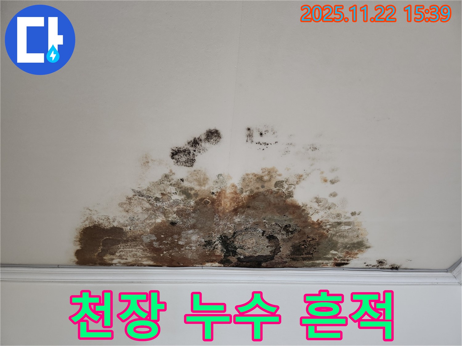 용강동 아파트 천장 누수 - 누수 흔적