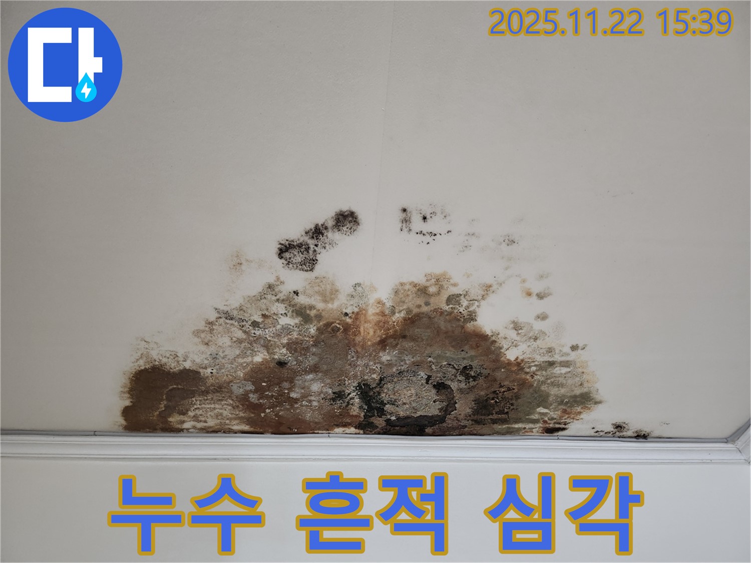 용강동 아파트 천장 누수 - 심각한 누수 흔적과 곰팡이