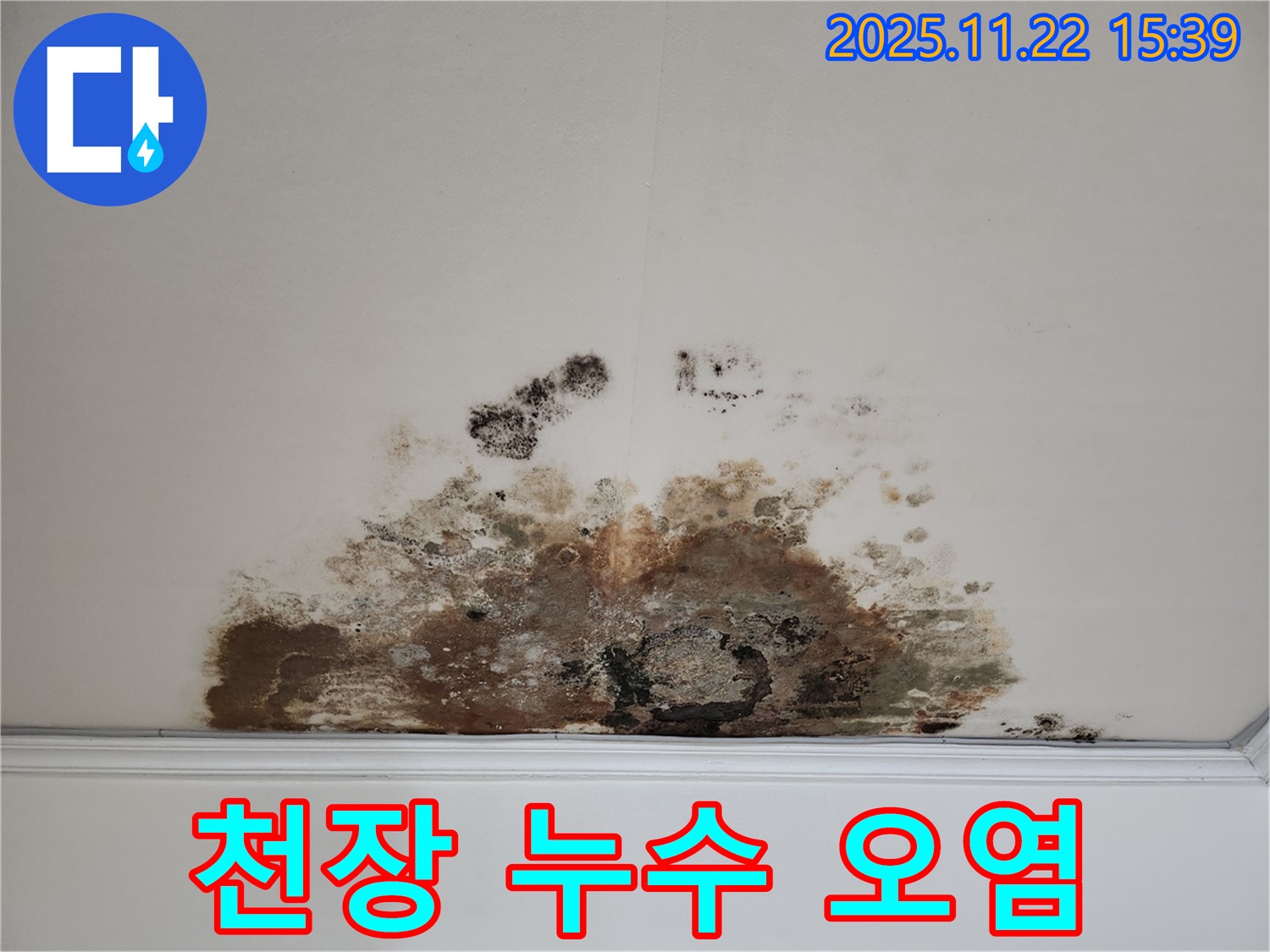 용강동 아파트 천장 누수 - 심각한 오염 상태