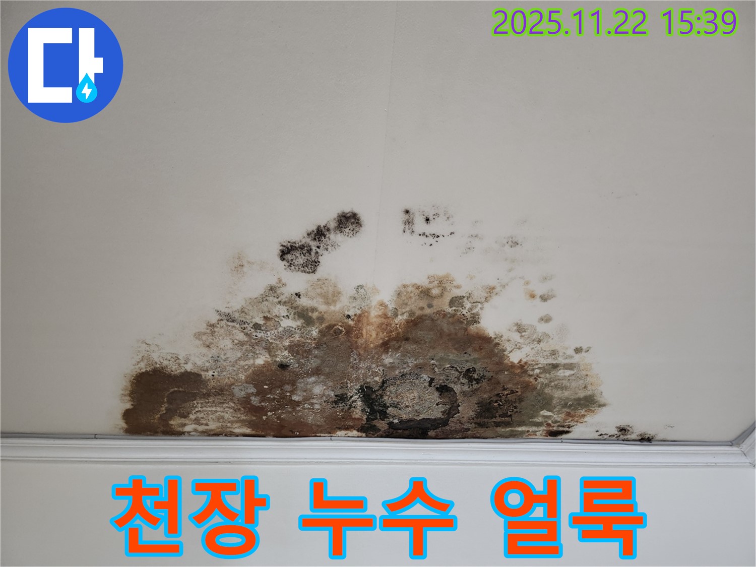 용강동 아파트 천장 누수 - 얼룩과 변색