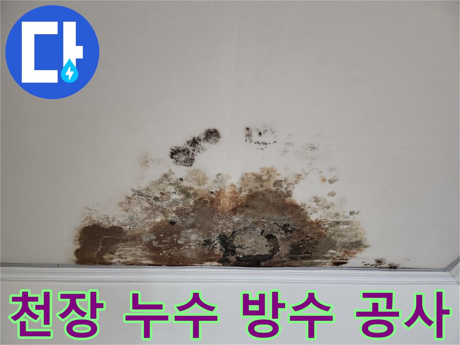 용강동 천장 누수 - 곰팡이 제거 및 완벽한 방수 공사