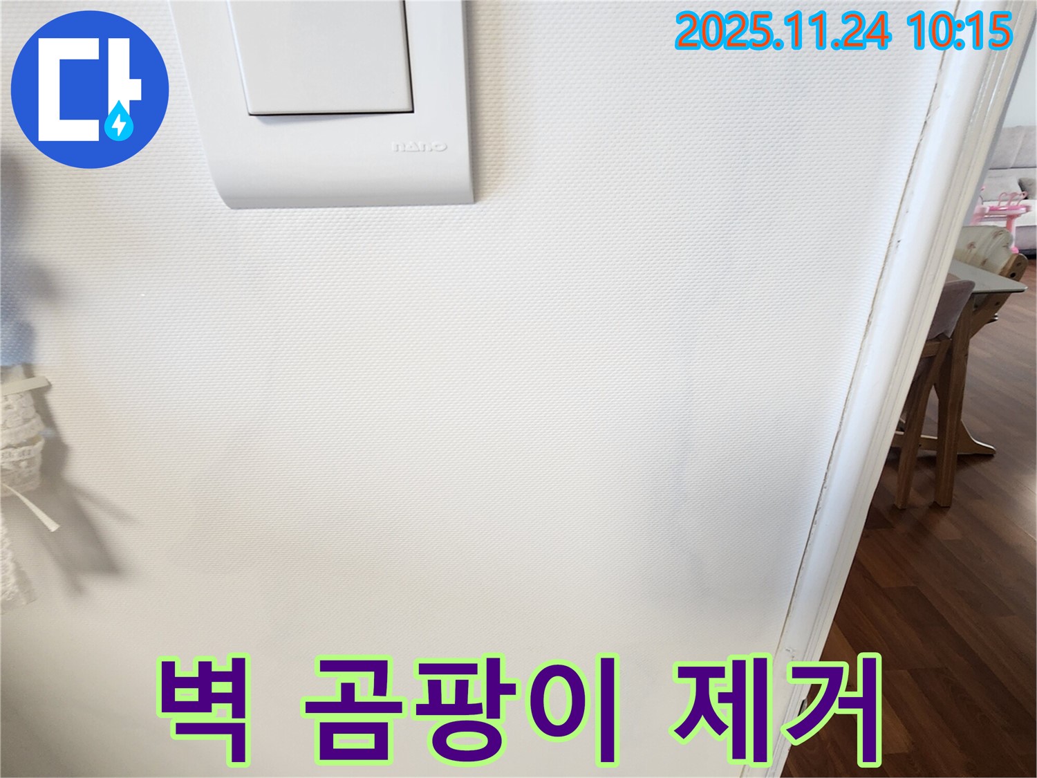 벽 곰팡이 제거 - 곰팡이 제거