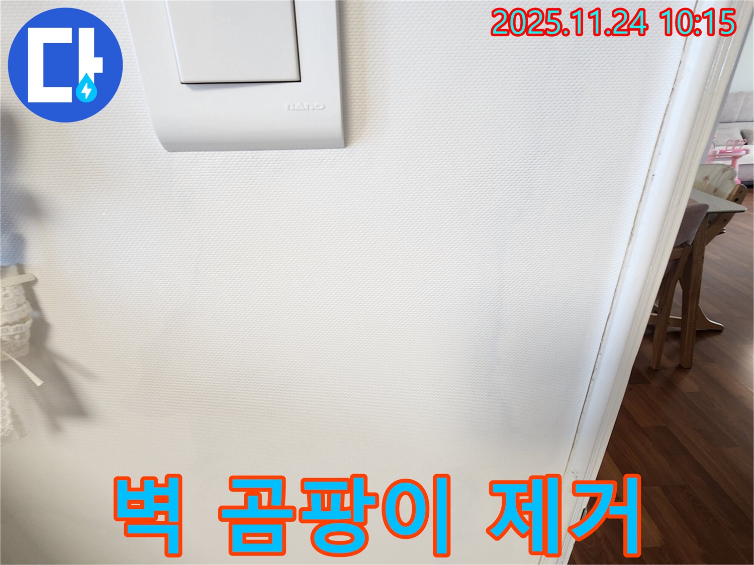 벽 곰팡이 제거 - 깨끗한 환경