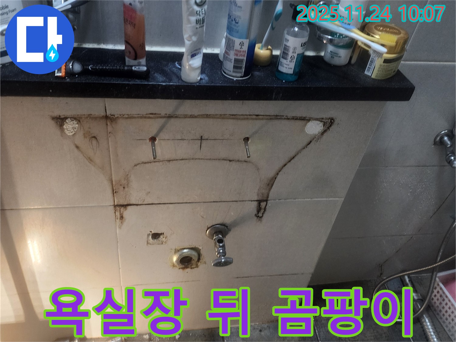 욕실장 뒤 곰팡이 - 습기로 인한 곰팡이 발생