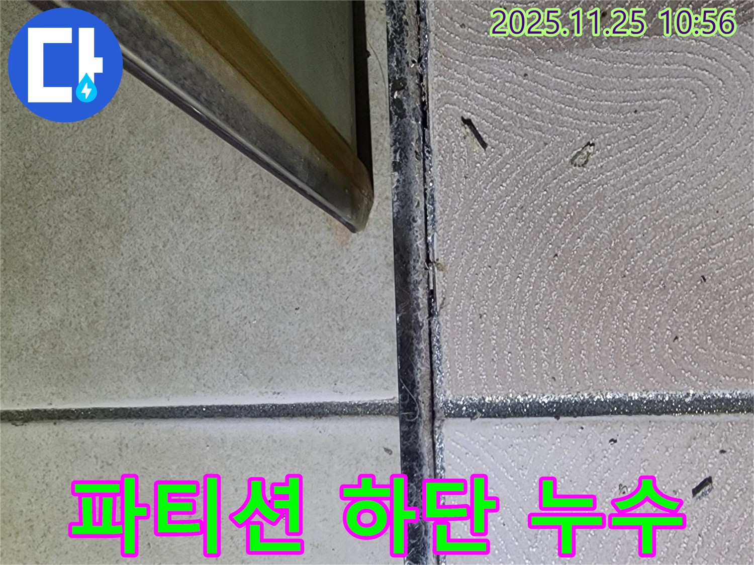 샤워 파티션 하단 누수 - 물때와 곰팡이 - 누수 의심