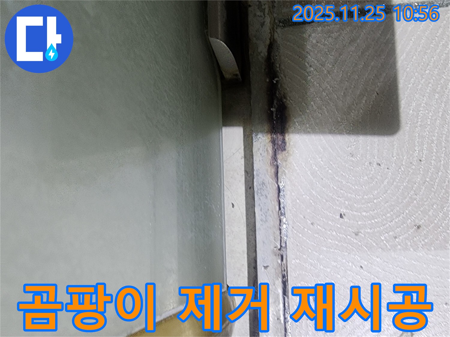샤워부스 곰팡이 제거 - 실리콘 재시공으로 누수 해결
