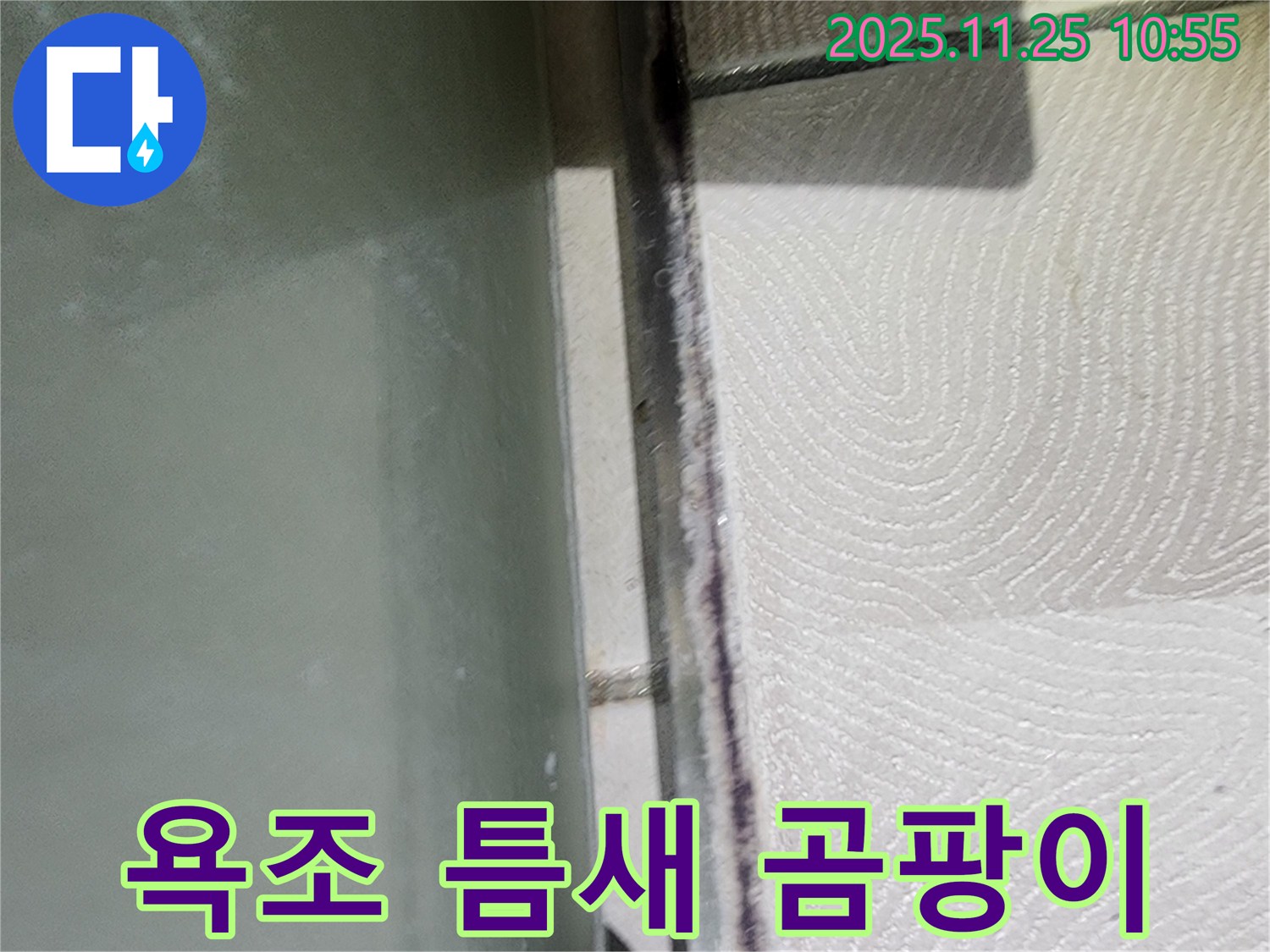 욕조 틈새 곰팡이 - 습기와 누수의 흔적