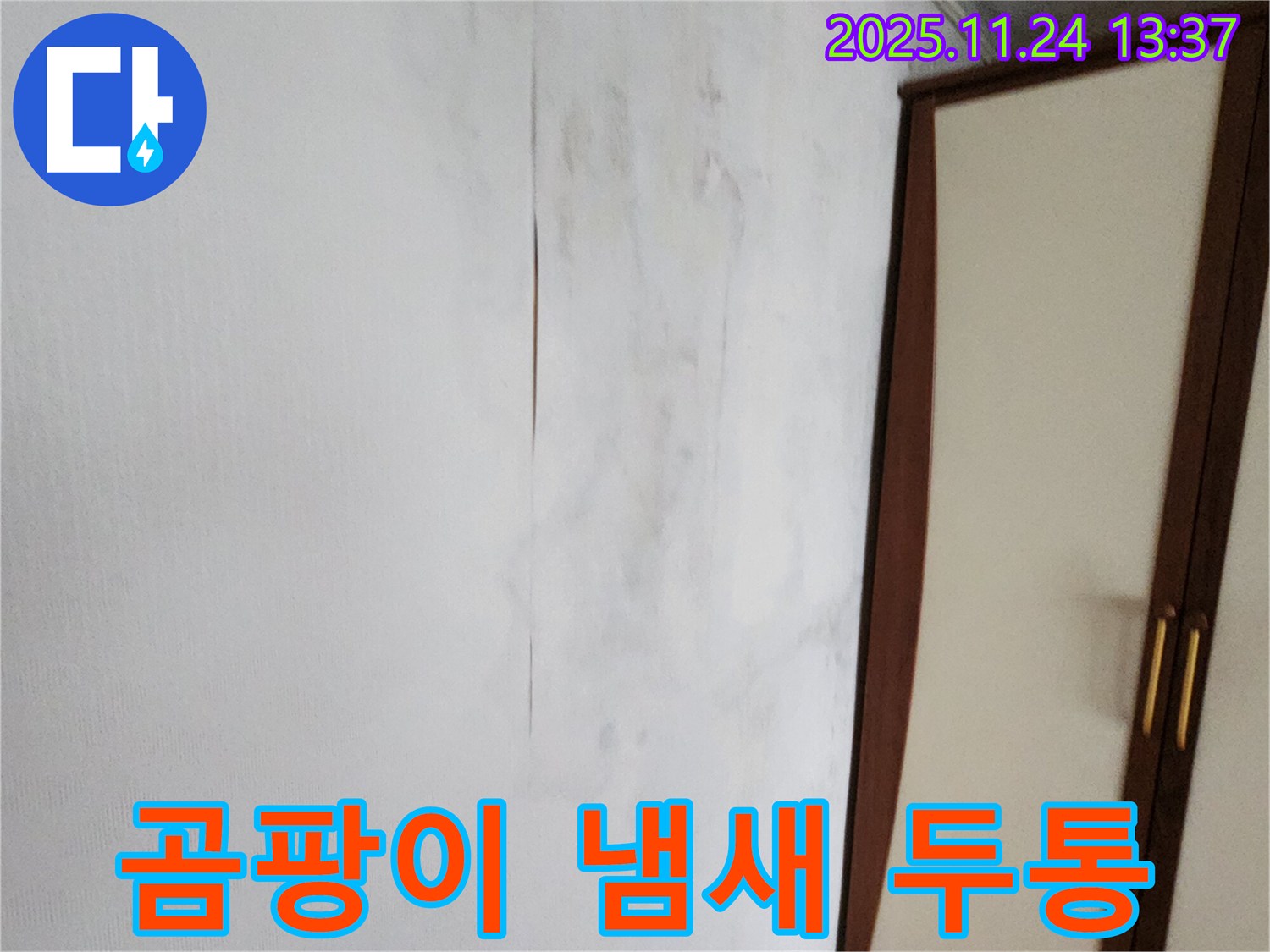 곰팡이 냄새 - 두통 - 누수 의심