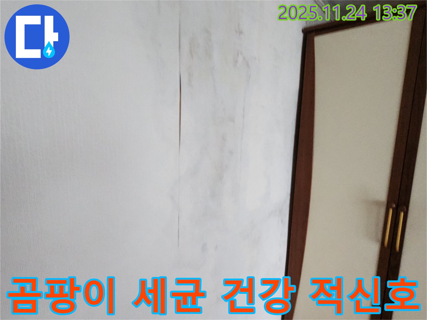 곰팡이 - 세균 번식 - 가족 건강 적신호
