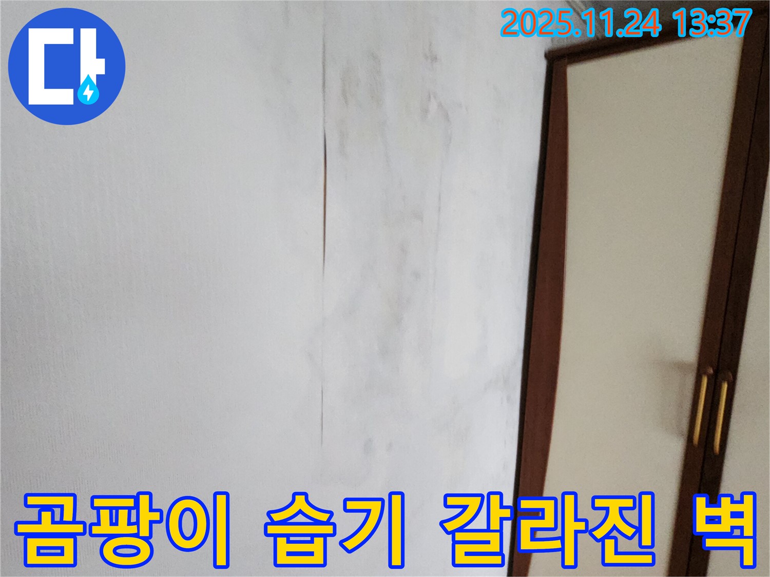 곰팡이 - 습기 - 갈라진 벽 - 삼중고