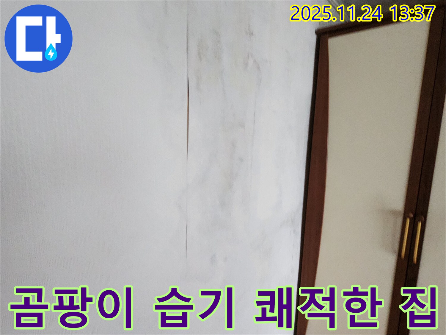곰팡이 - 습기 - 쾌적한 우리 집 되찾기