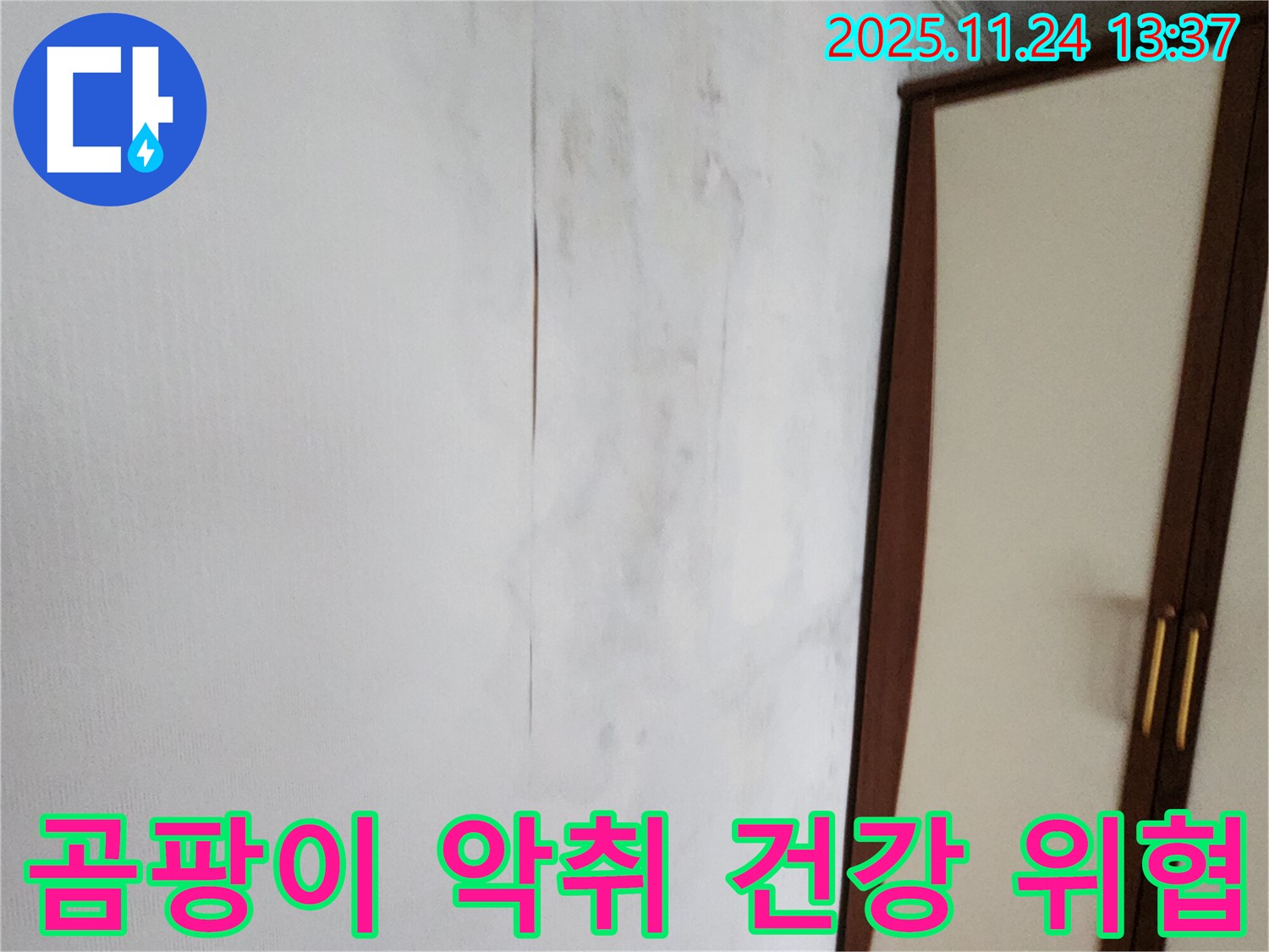 곰팡이 - 악취 - 건강 위협 - 누수의 위험성