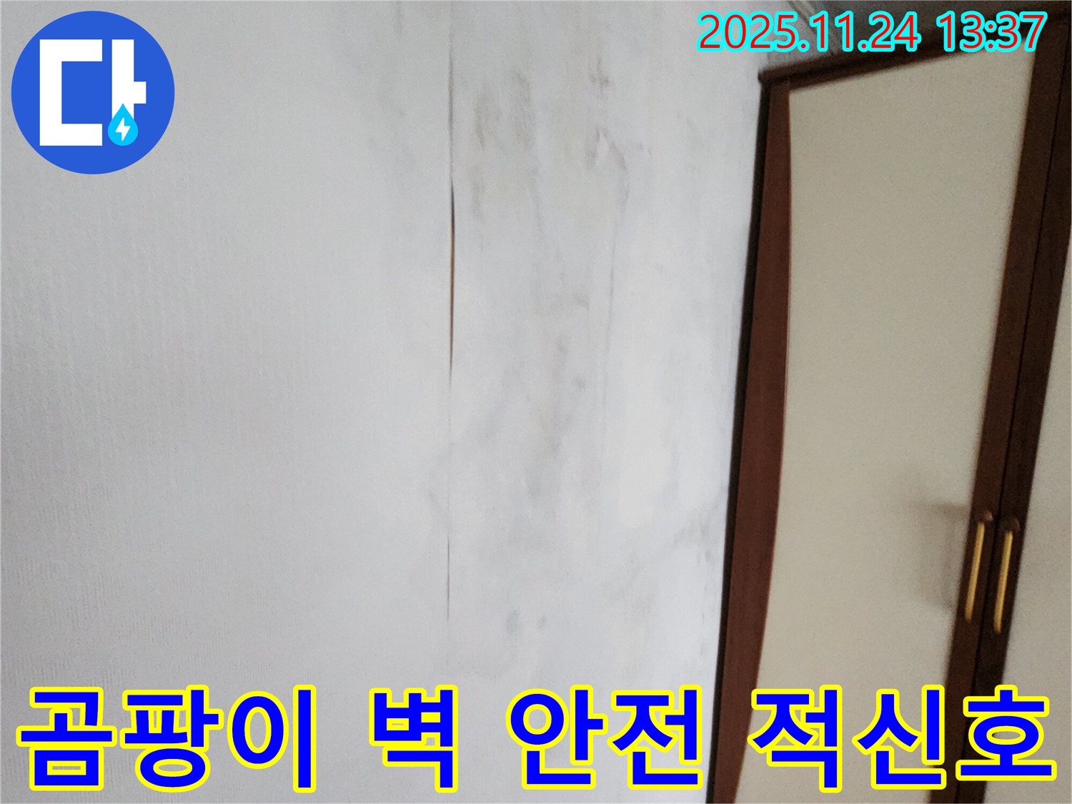 곰팡이 핀 벽 - 건물 안전 적신호