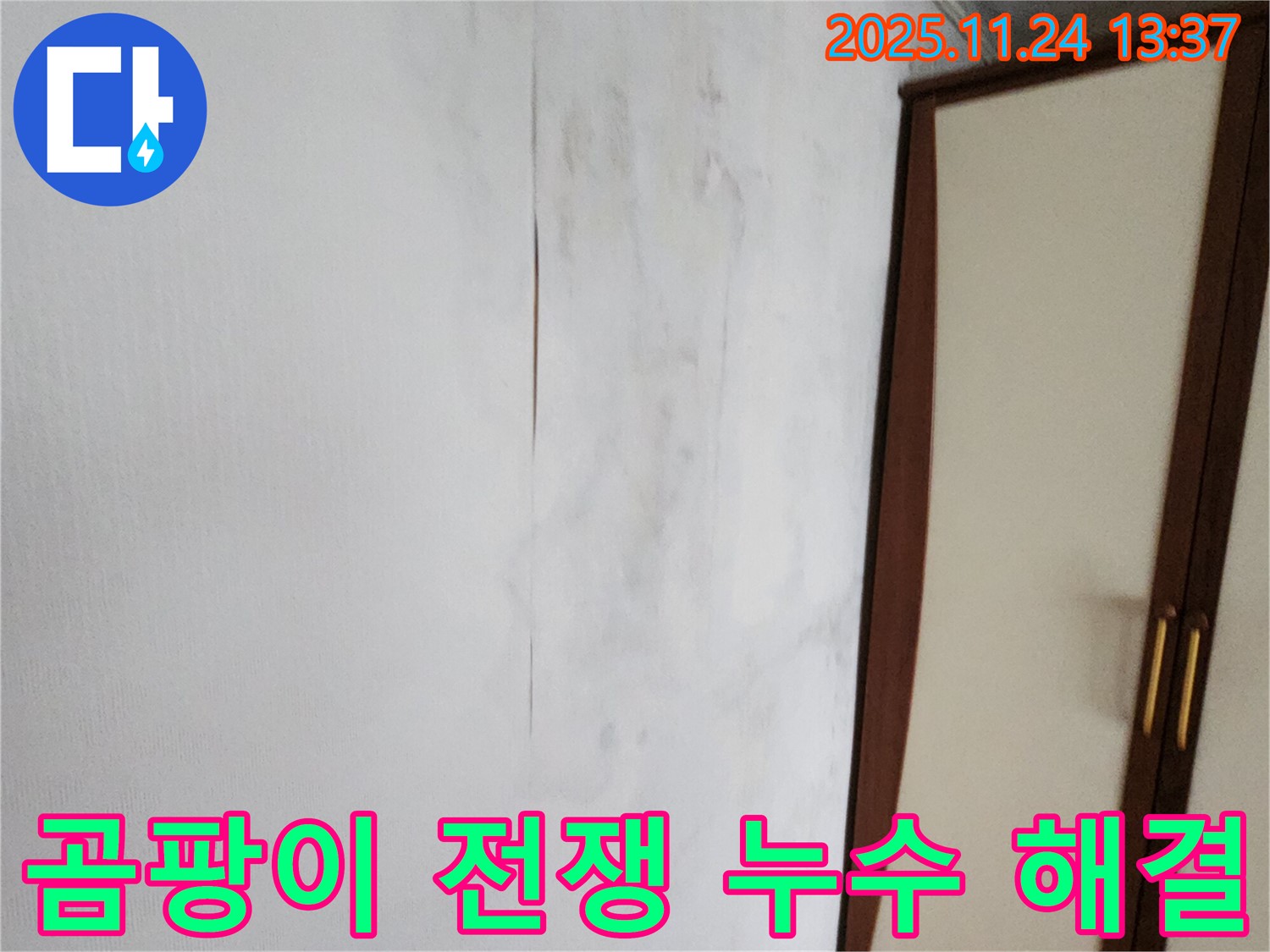 곰팡이와 전쟁 - 누수 해결이 우선