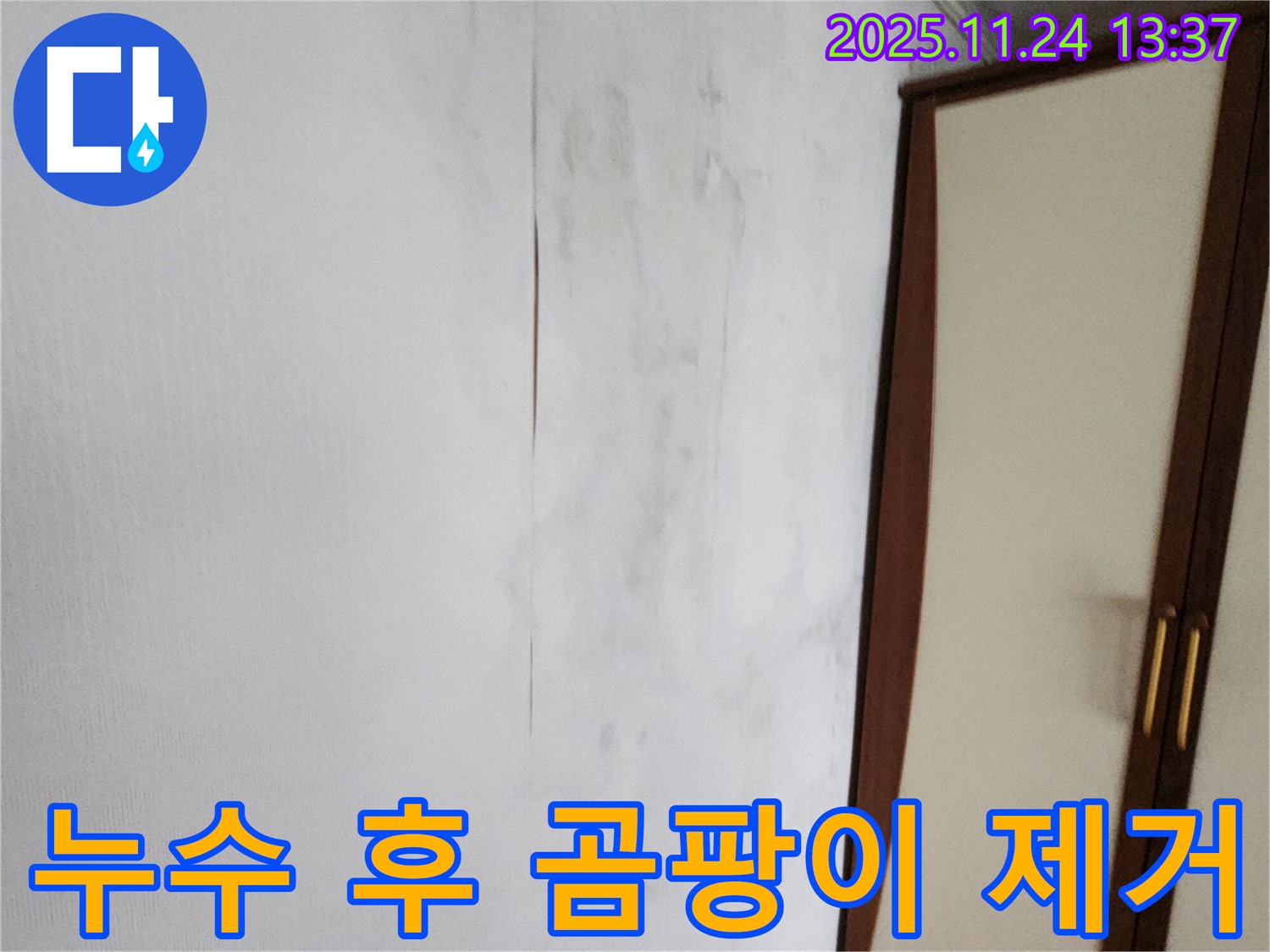 누수 해결 후 곰팡이 제거 필수