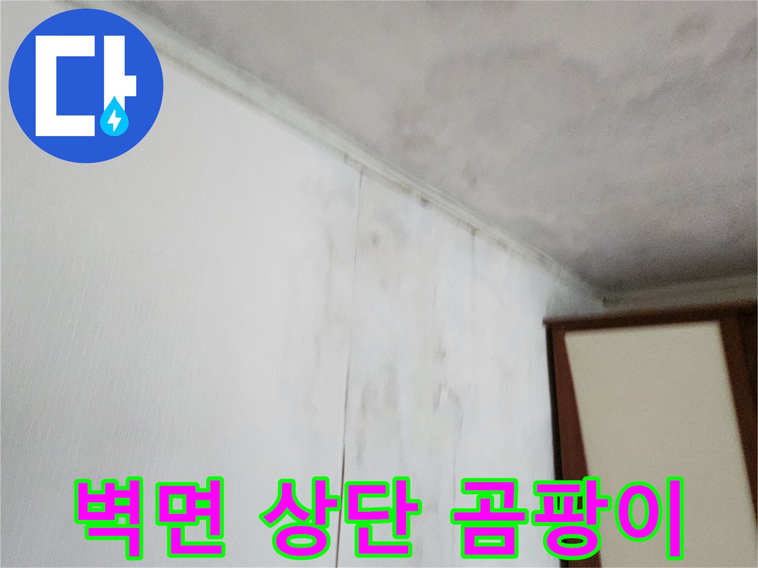 누수가 의심되는 천장과 벽의 오염 부위