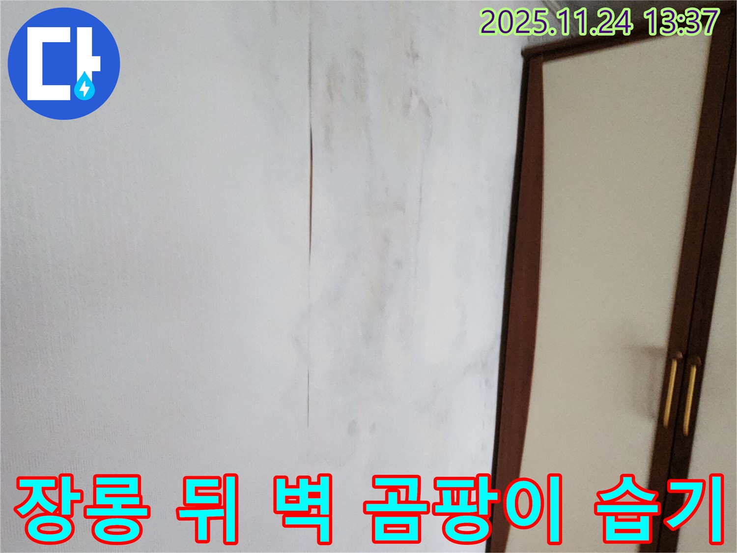 장롱 뒤 벽 곰팡이 - 습기와 누수의 합작