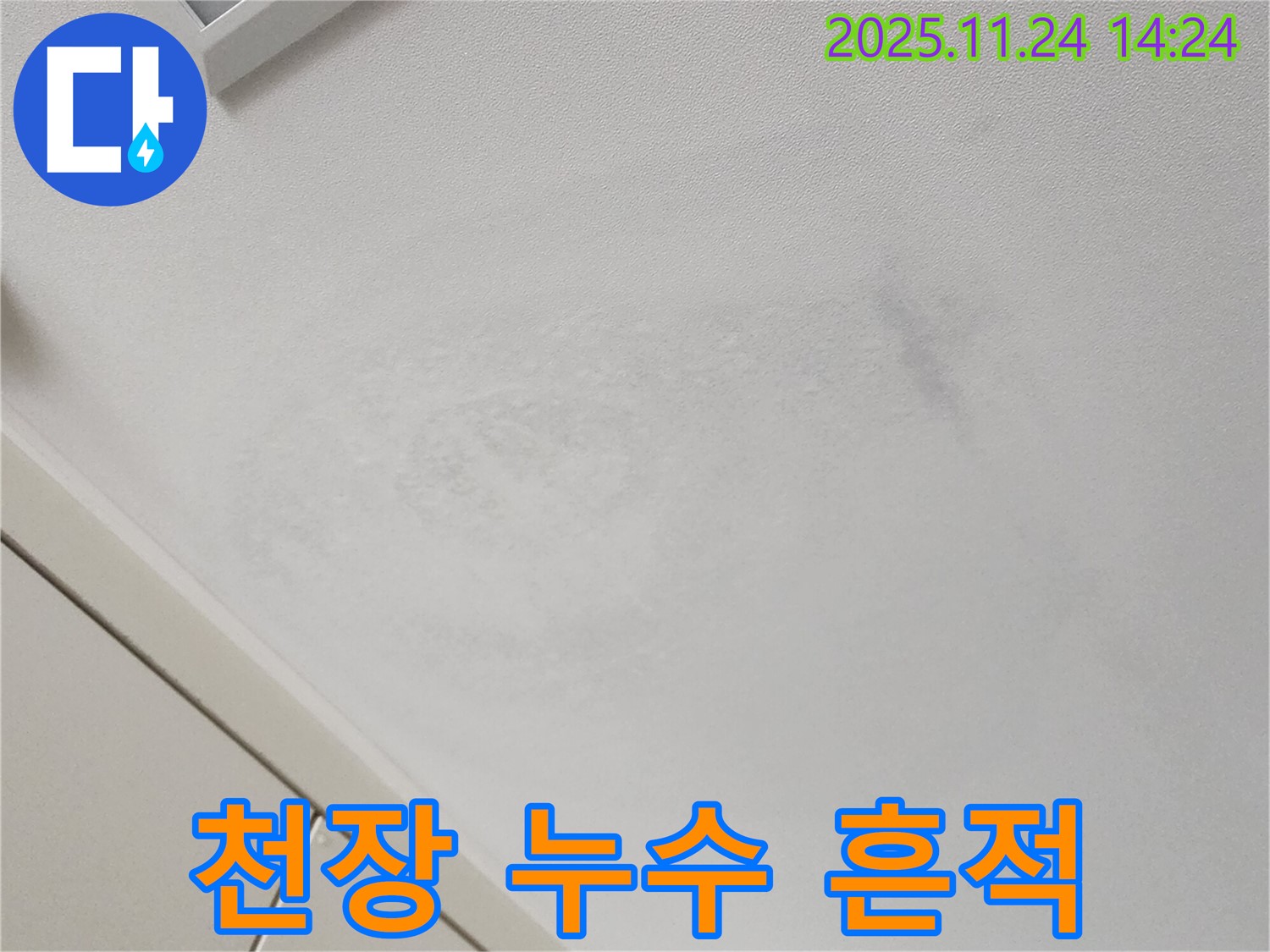 천장 누수 흔적 - 전문 장비 필수
