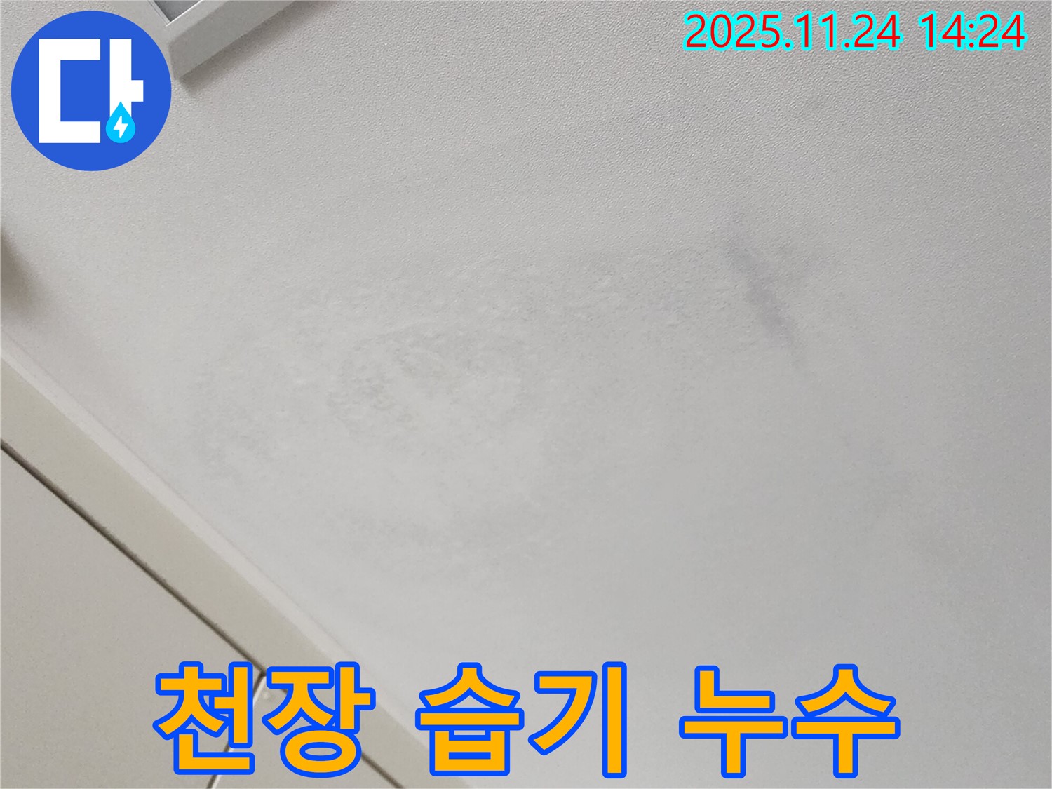 천장 습기 - 곰팡이 발생 주의!