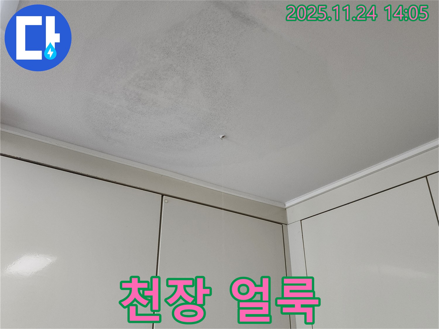 천장 얼룩 - 누수 초기 단계에서 천장에 생긴 얼룩 사진