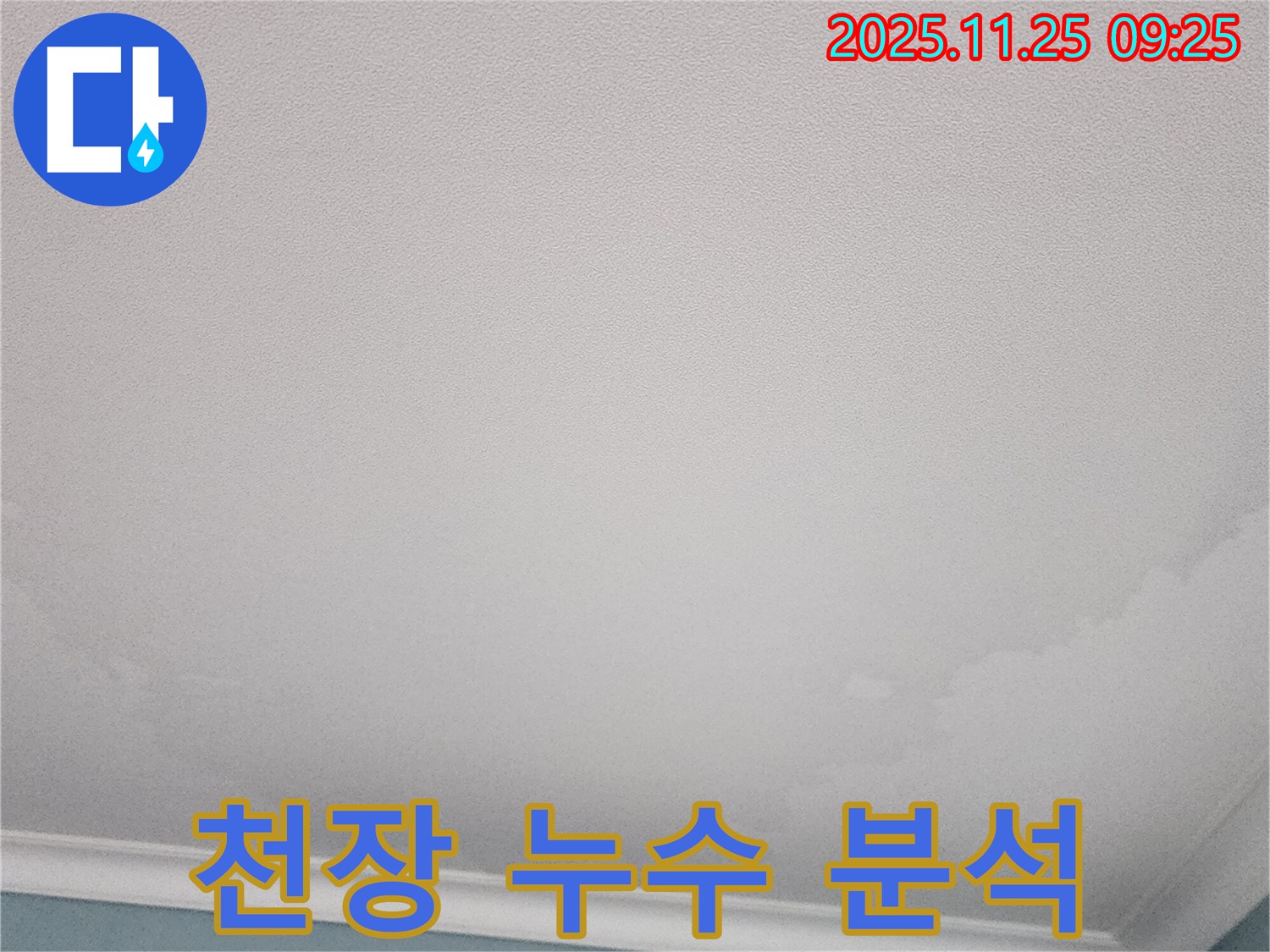 천장 누수 분석 - 포천 기지리