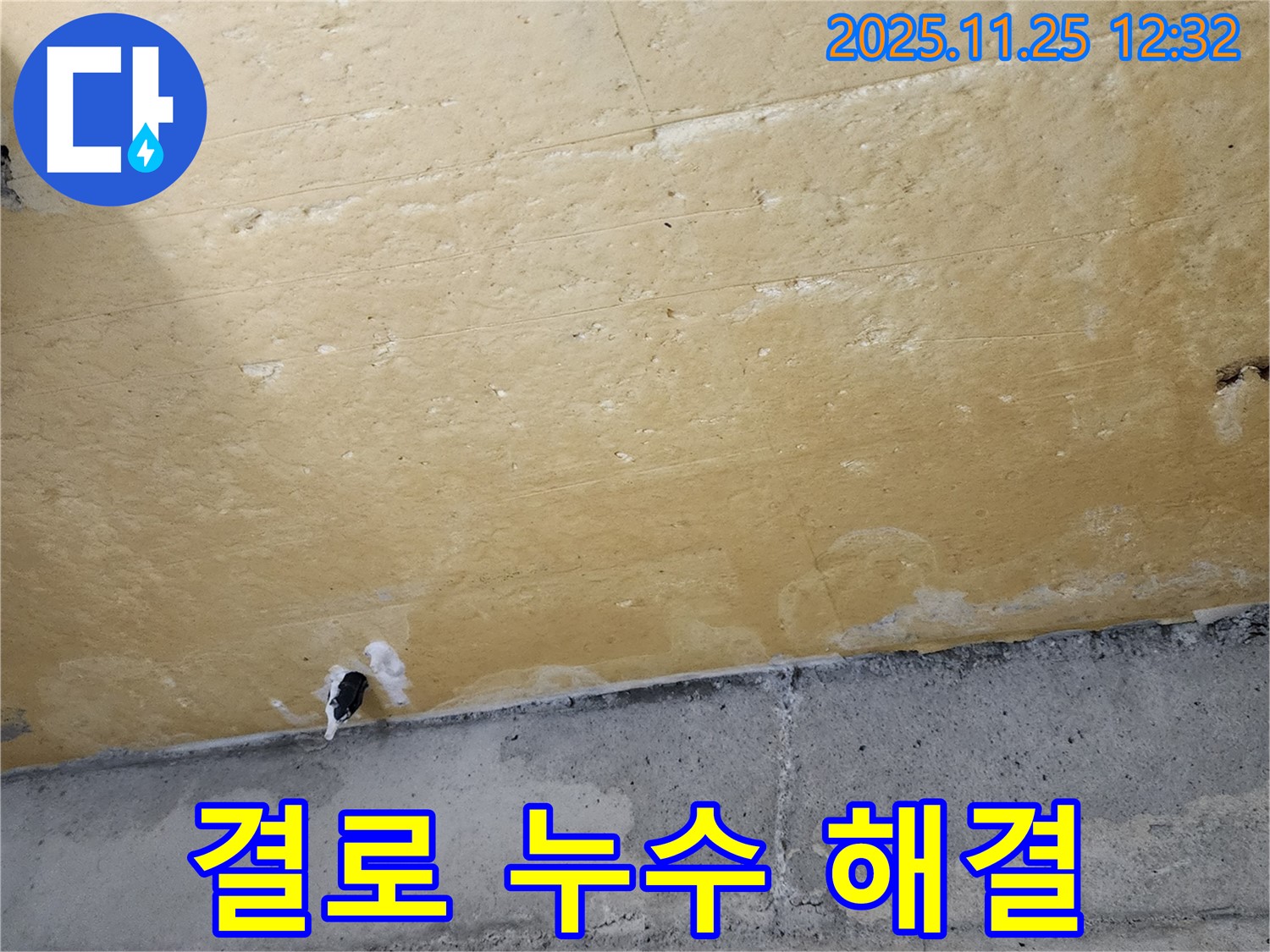 결로 - 누수 해결 - 곰팡이 제거