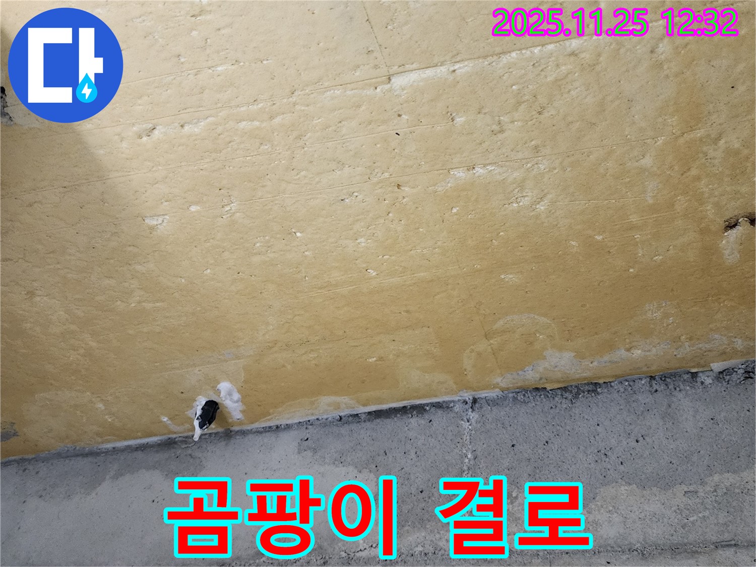 곰팡이 핀 벽 - 결로 현상 - 습기 문제