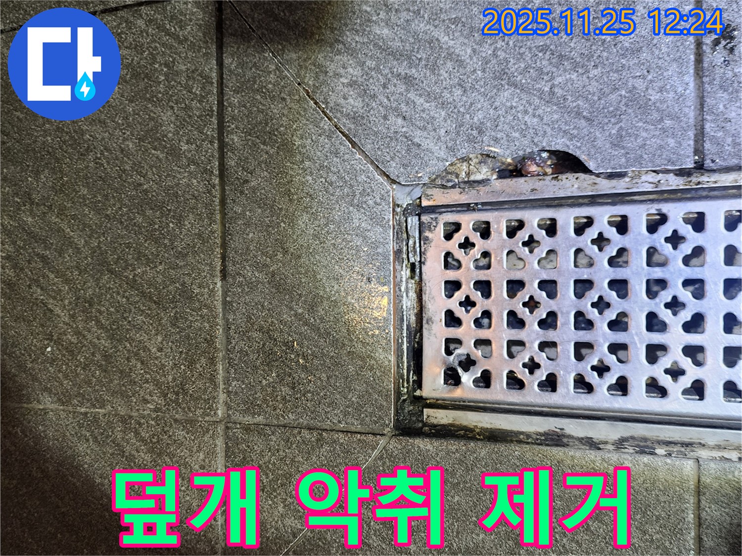 배수구 덮개 악취 제거 - 상쾌한 욕실 환경 조성