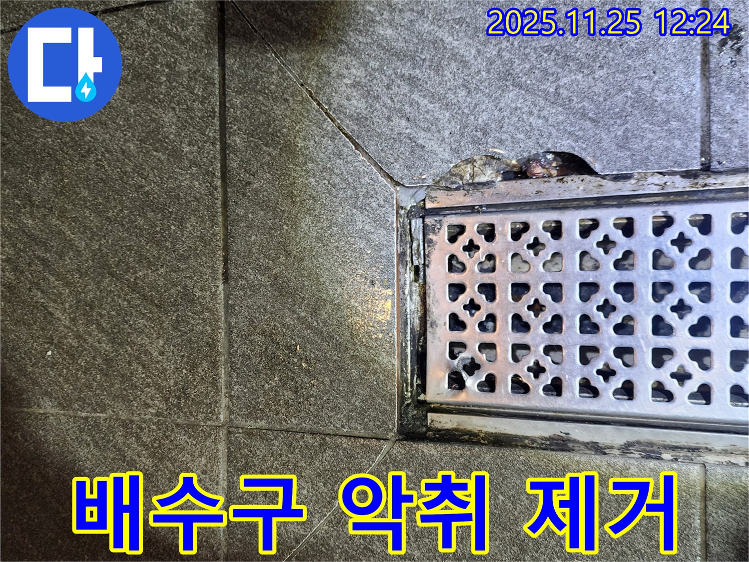 배수구 악취 제거 - 깨끗하고 상쾌한 욕실 환경