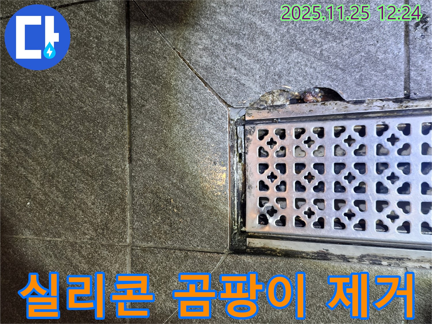 배수구 주변 실리콘 곰팡이 제거 - 깨끗한 욕실