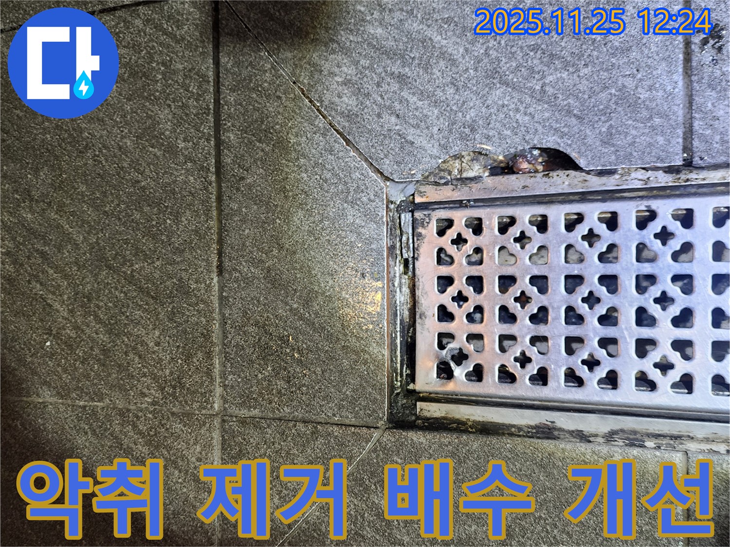 배수구 주변 악취 제거 및 배수 개선 - 상쾌하고 깨끗하게