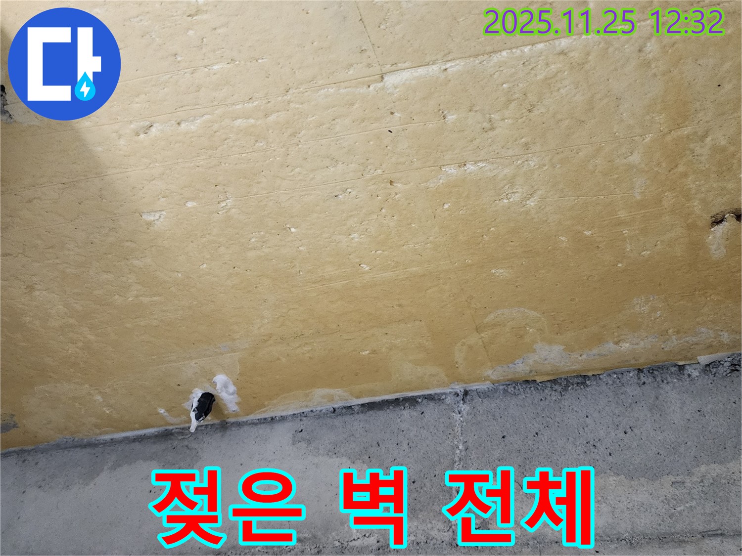 젖은 벽 - 넓은 범위 - 심각한 습기