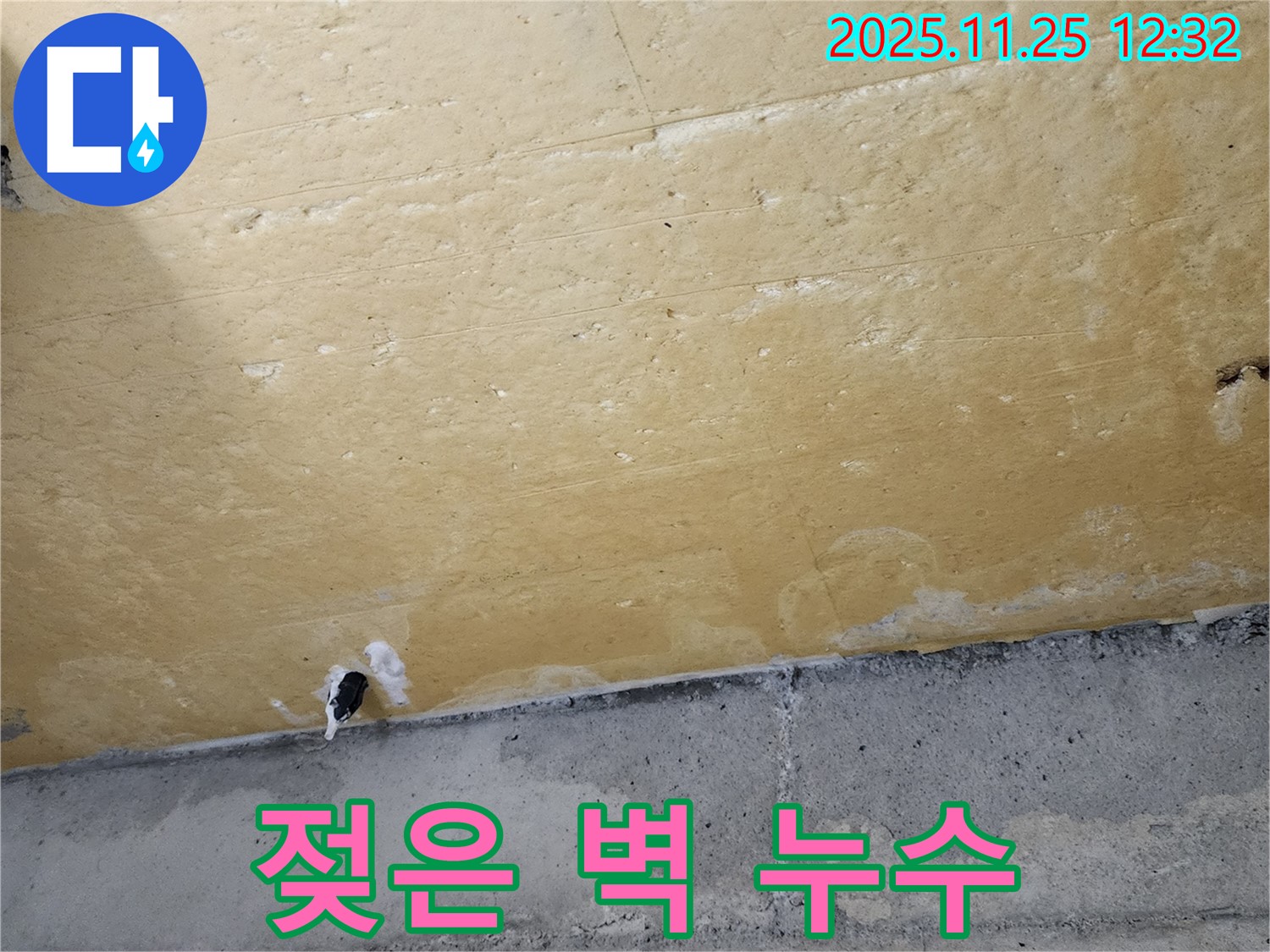 젖은 벽 - 누수 의심 - 곰팡이 위험