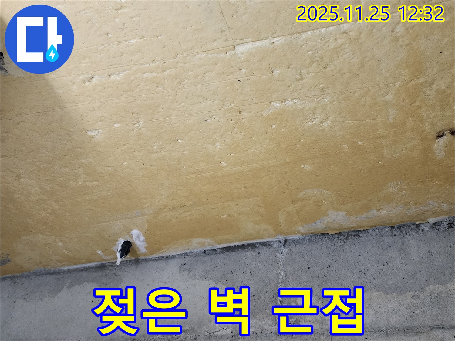 젖은 벽 - 습기 - 곰팡이 발생
