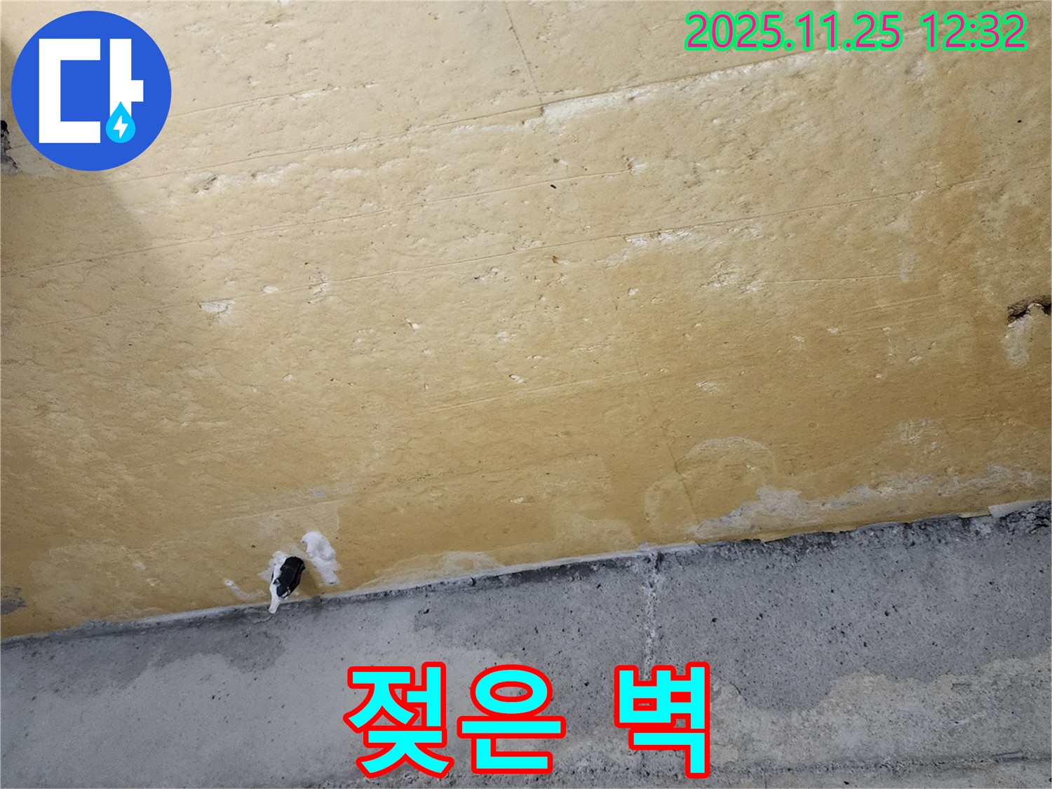 젖은 벽 - 습기 - 누수 의심