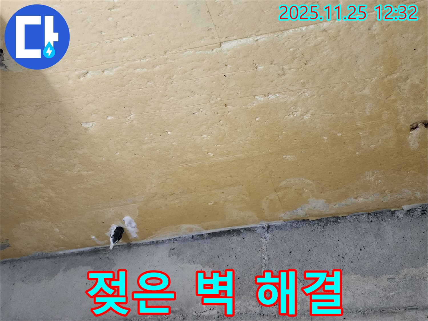 젖은 벽 해결 - 깨끗한 벽 - 쾌적한 환경