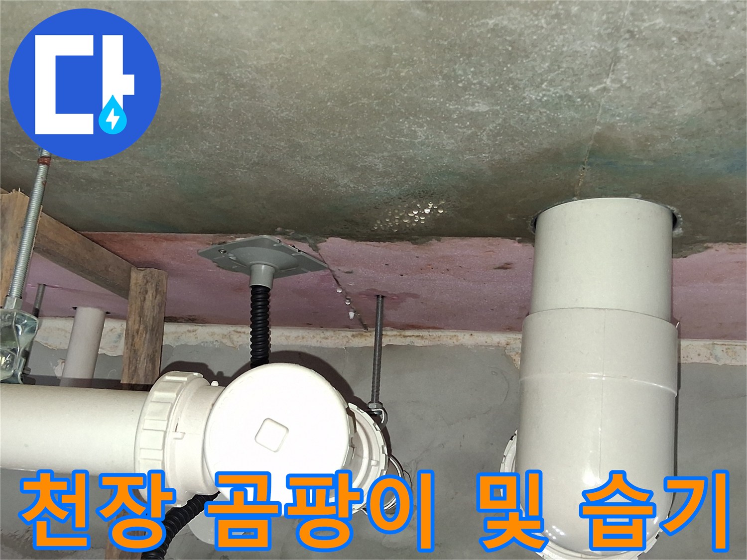 오염된 천장 슬라브-배관 주변의 물샘 흔적